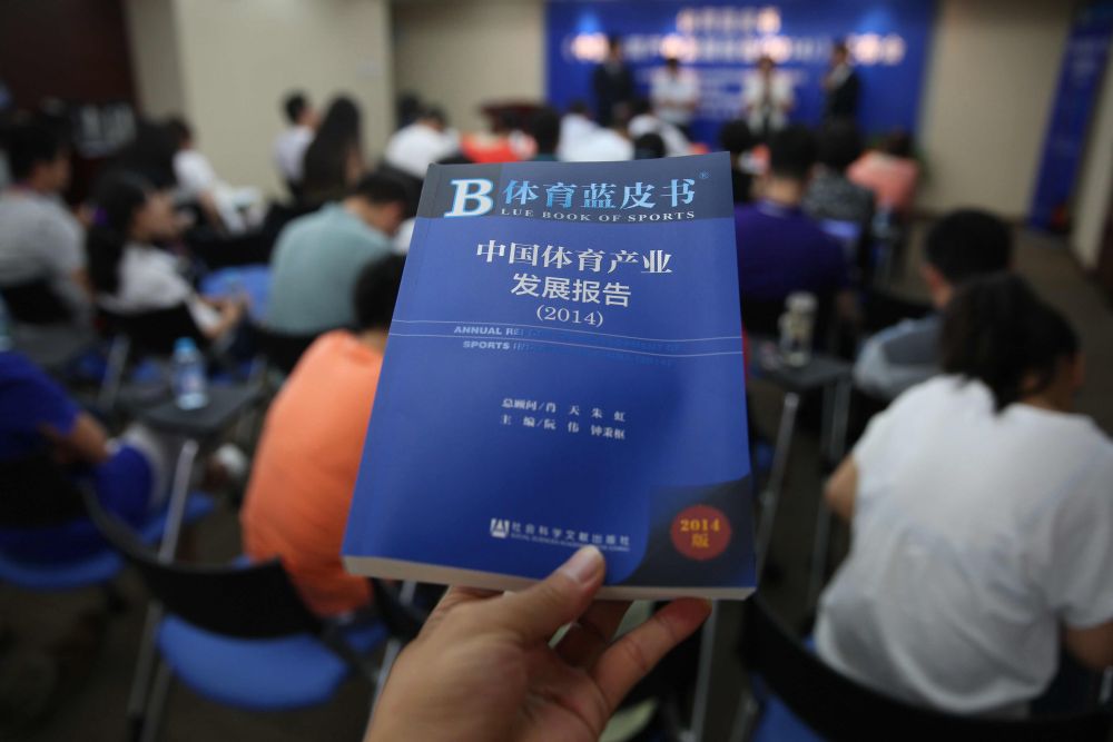 十年高速增长中国体育产业走出特色路(图2)