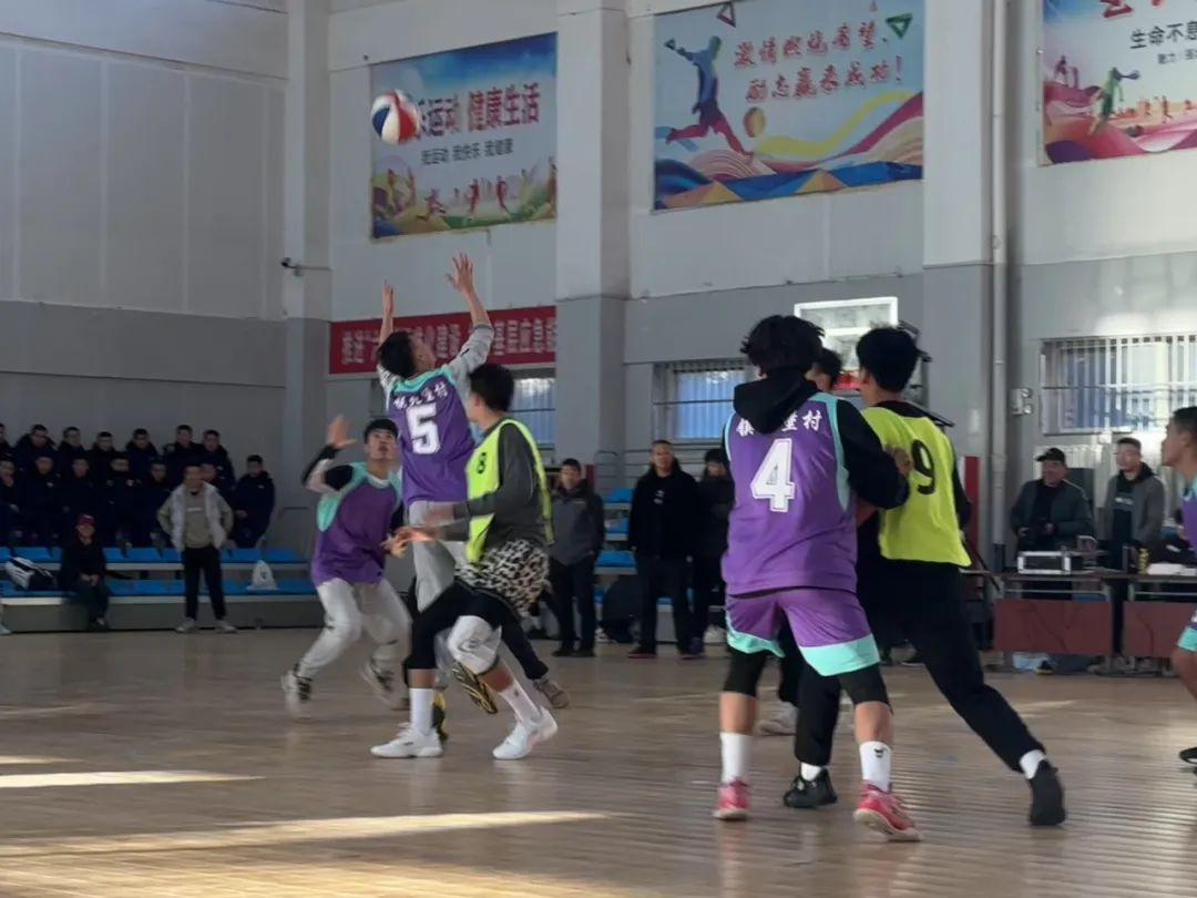 银川市西夏区人民政府(图1)