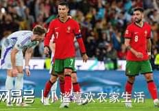 九游体育：C罗获铂金盾奖！星空C罗体育是最当之无愧的葡萄牙人(图1)