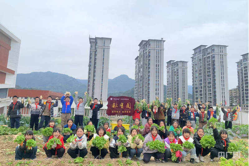 福建新增7个全国义务教育优质均衡发展县(图3)