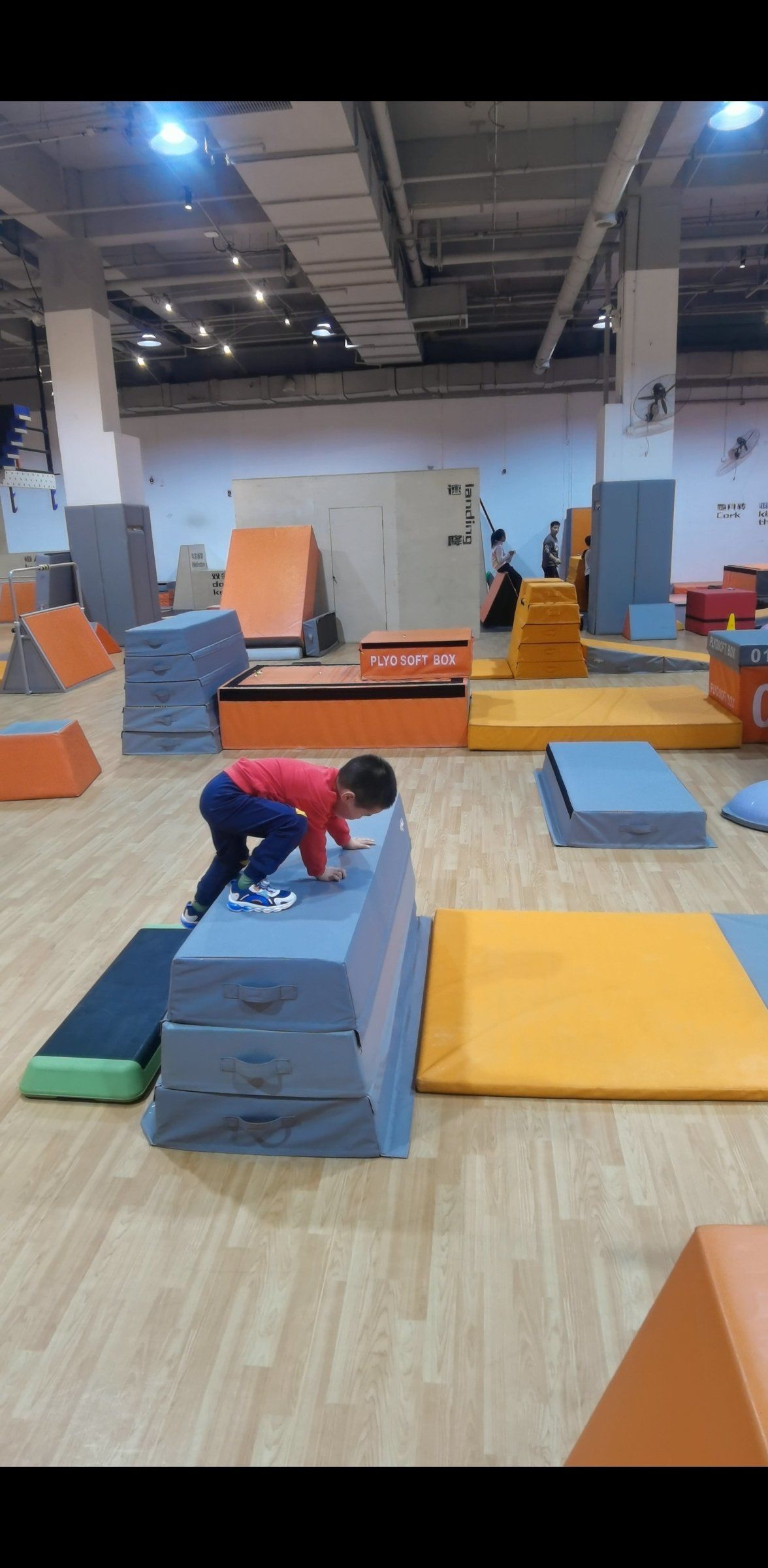 2026年青少年综合体能训练机构推荐：科学训练体系与成长潜力激发方案深度解析(图1)